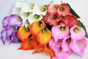 Б11283 Б/С Бук.особо крупной рифленой каллы «Пикассо» 7г.Н62см (20микс)