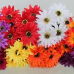 Б10216 Б/С Бук.герб. "Золотой ключик"7г.Н44см(20микс)