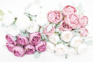 Б10620 Б/С Бук.пиона новые расцветки 7г.»Пижон»45см(10шт)